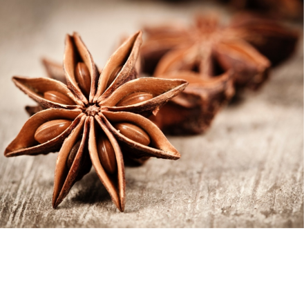 TRICONDI COMRCIO DE PRODUTOS ACESSRIOS E MQUINAS PARA FRIGORFICOS LTDA - Anis estrelado